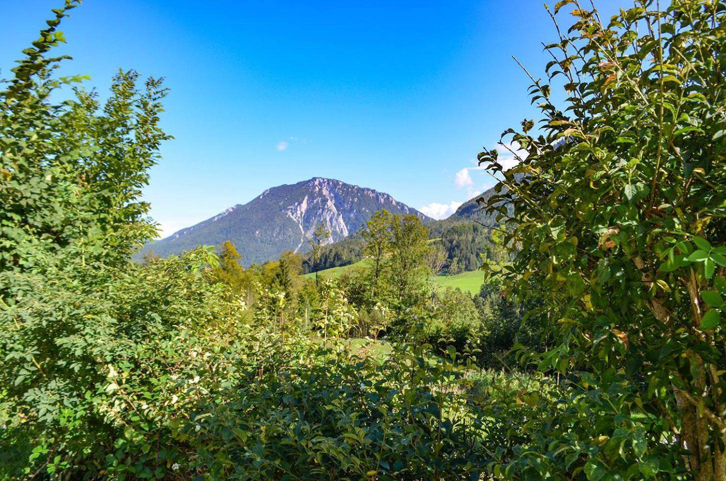 Appartamento Almbauernhof Ruhpolding Esterno foto