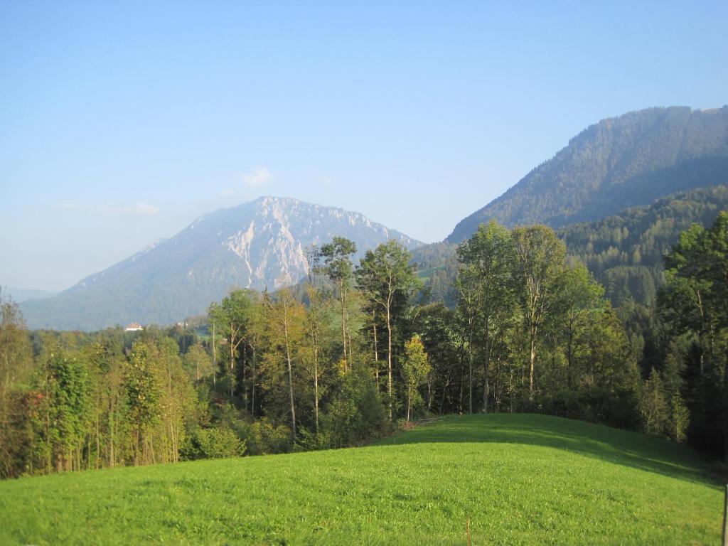 Appartamento Almbauernhof Ruhpolding Esterno foto