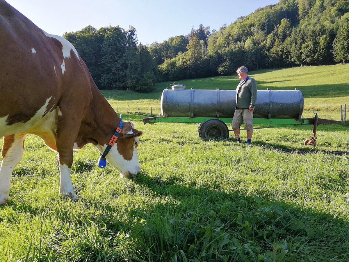 Appartamento Almbauernhof Ruhpolding Esterno foto