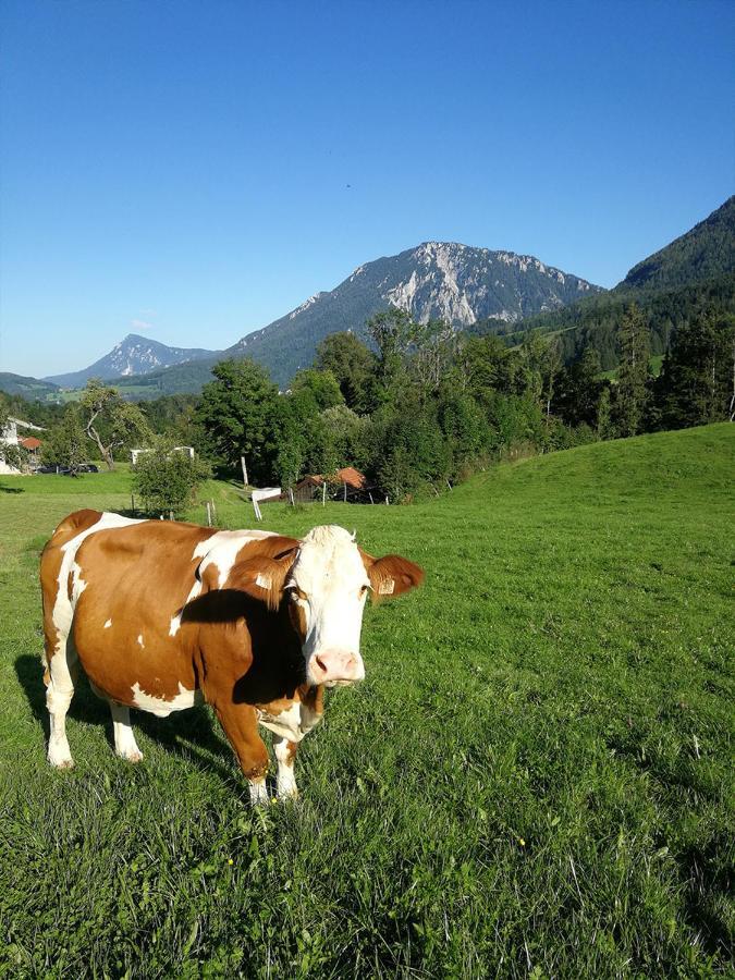 Appartamento Almbauernhof Ruhpolding Esterno foto